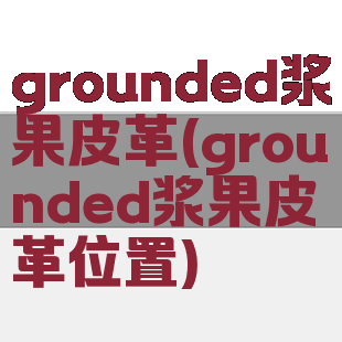 grounded浆果皮革(grounded浆果皮革位置)