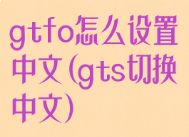 gtfo怎么设置中文(gts切换中文)