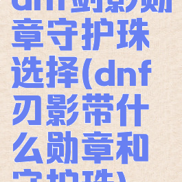 dnf剑影勋章守护珠选择(dnf刃影带什么勋章和守护珠)