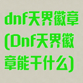 dnf天界徽章(Dnf天界徽章能干什么)