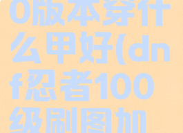 dnf忍者100版本穿什么甲好(dnf忍者100级刷图加点)