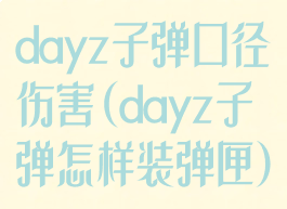 dayz子弹口径伤害(dayz子弹怎样装弹匣)