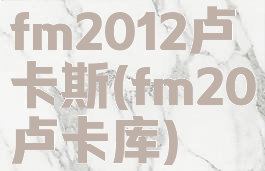 fm2012卢卡斯(fm20卢卡库)