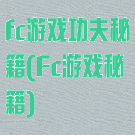 fc游戏功夫秘籍(Fc游戏秘籍)