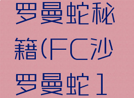 fc游戏沙罗曼蛇秘籍(FC沙罗曼蛇1美版)