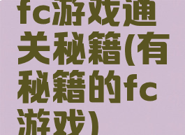 fc游戏通关秘籍(有秘籍的fc游戏)