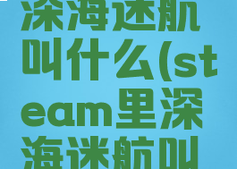 steam里深海迷航叫什么(steam里深海迷航叫什么游戏)