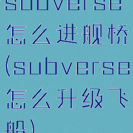 subverse怎么进舰桥(subverse怎么升级飞船)