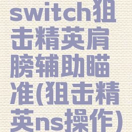 switch狙击精英肩膀辅助瞄准(狙击精英ns操作)