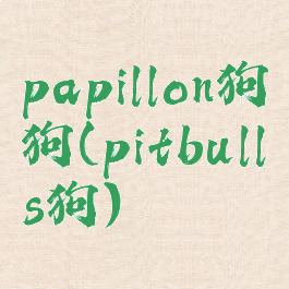 papillon狗狗(pitbulls狗)