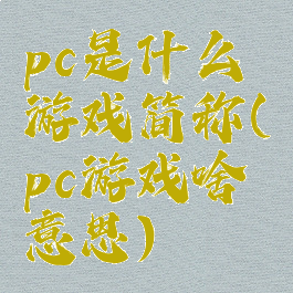 pc是什么游戏简称(pc游戏啥意思)