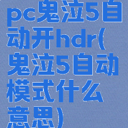 pc鬼泣5自动开hdr(鬼泣5自动模式什么意思)