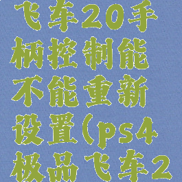 ps4极品飞车20手柄控制能不能重新设置(ps4极品飞车20手柄)