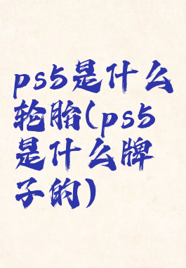 ps5是什么轮胎(ps5是什么牌子的)