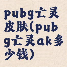 pubg亡灵皮肤(pubg亡灵ak多少钱)