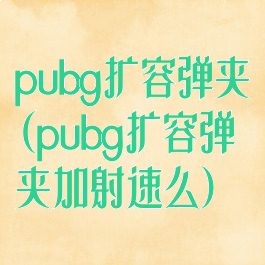 pubg扩容弹夹(pubg扩容弹夹加射速么)