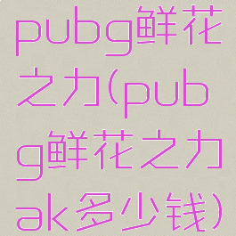 pubg鲜花之力(pubg鲜花之力ak多少钱)