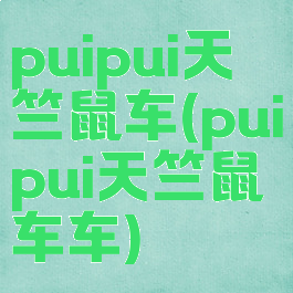 puipui天竺鼠车(puipui天竺鼠车车)