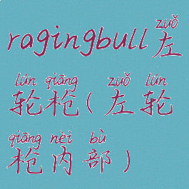 ragingbull左轮枪(左轮枪内部)