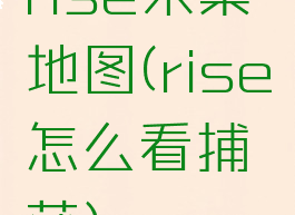 rise采集地图(rise怎么看捕获)