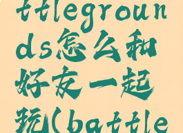 totallyaccuratebattlegrounds怎么和好友一起玩(battleblock怎么联机)