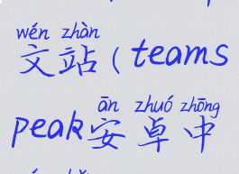 teamspeak中文站(teamspeak安卓中文版)