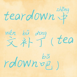 teardown中文补丁(teardown吧)