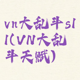 vn大乱斗s11(VN大乱斗天赋)