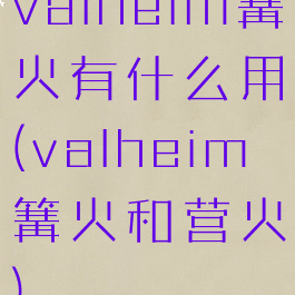 valheim篝火有什么用(valheim篝火和营火)