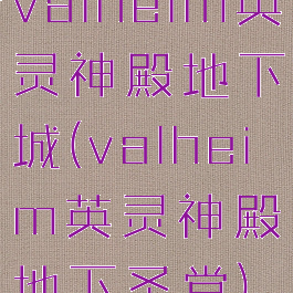 valheim英灵神殿地下城(valheim英灵神殿地下圣堂)